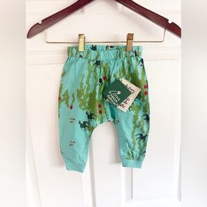 NWT Little Green Radicals | Under The Willows Jelly Bean Joggers | Age 9-12M